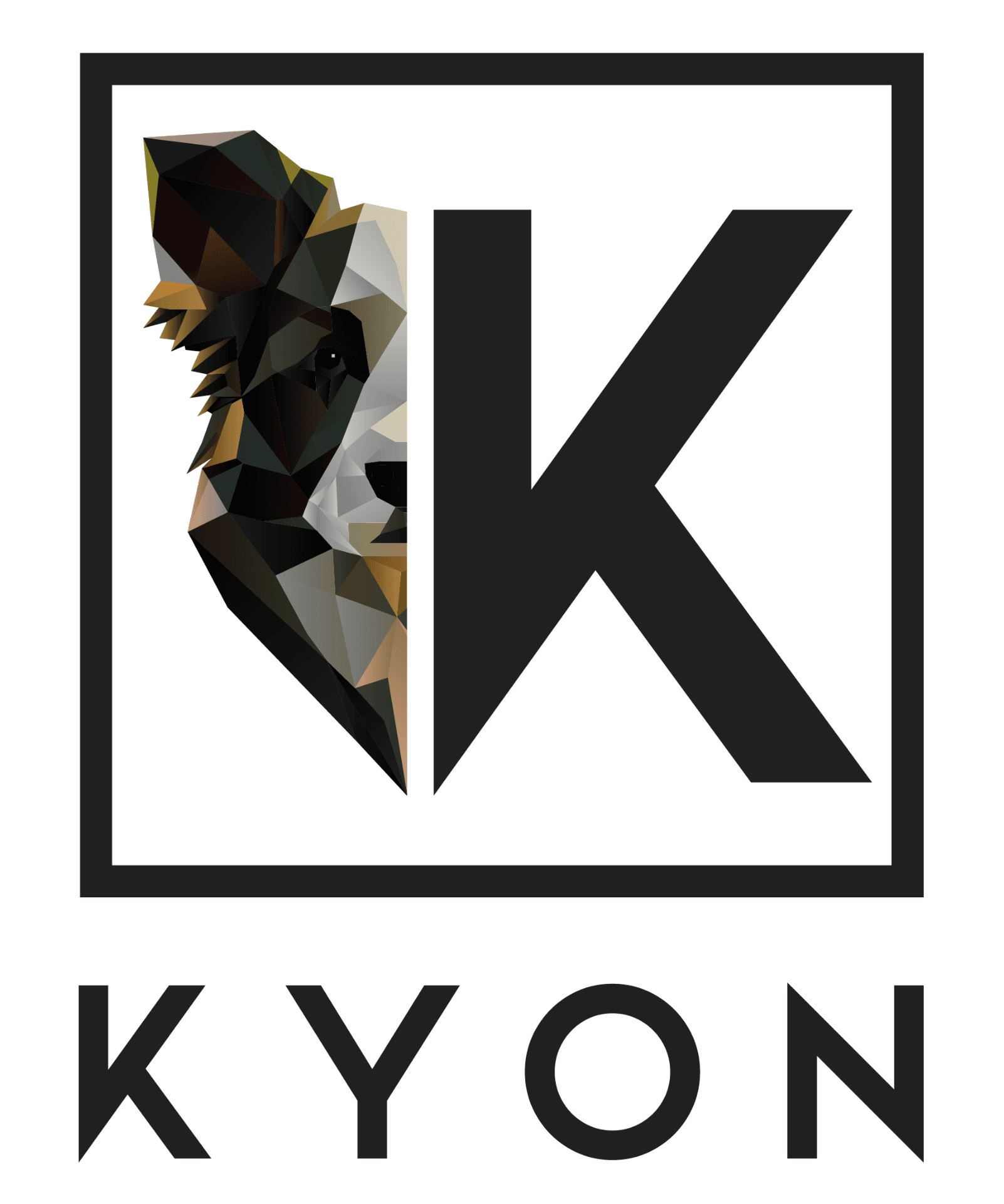 KYON XR